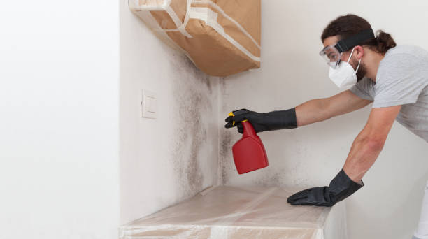 Professional Bathroom Mold Removal technician working in Bluemont, VA