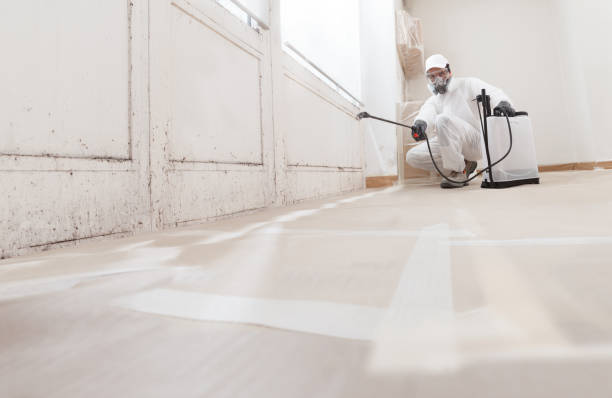24/7 Emergency Bathroom Mold Removal experts in Bluemont, VA
