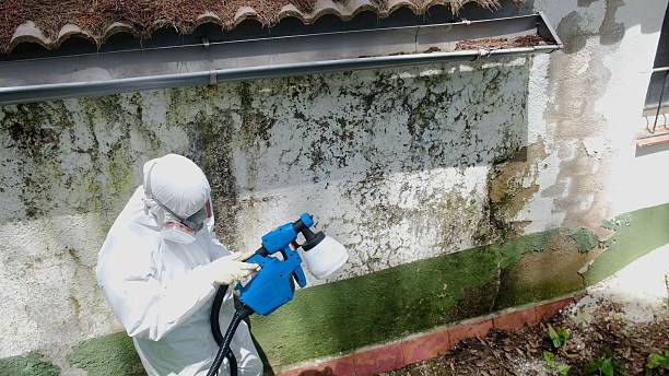 Top rated local Bathroom Mold Removal specialists in Bluemont, VA